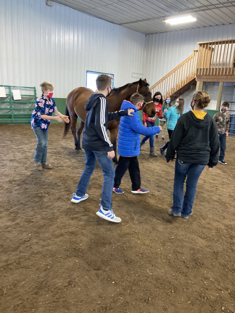 Equine station