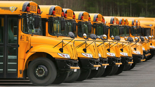 line of school busses