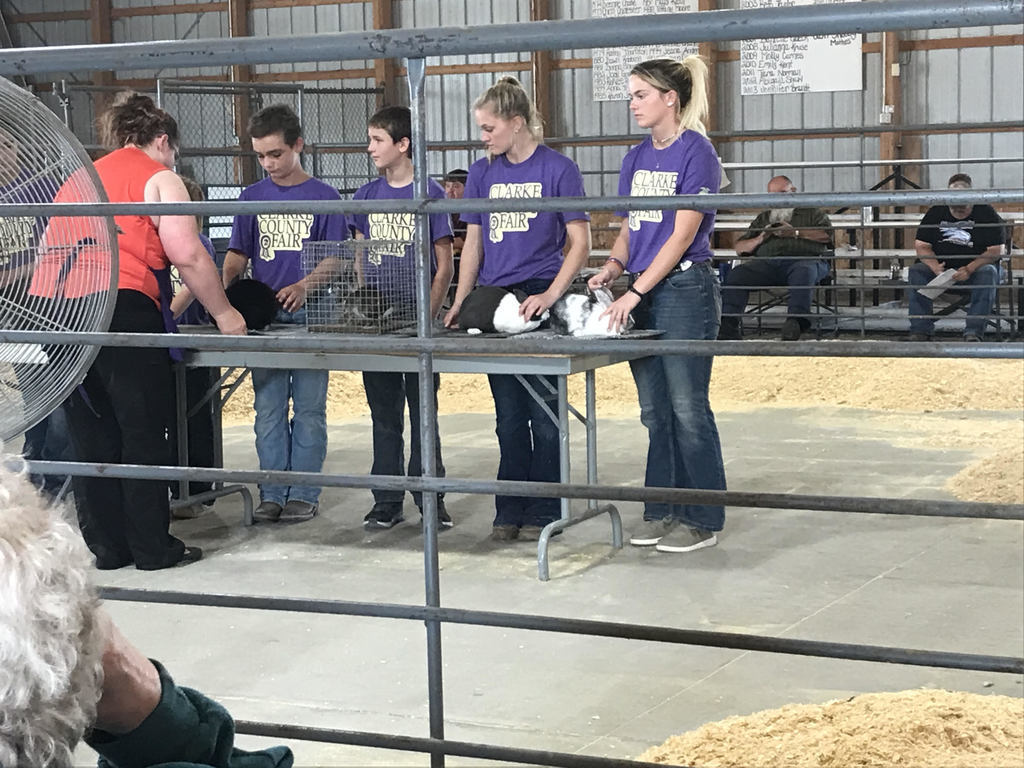FFA members with rabbits