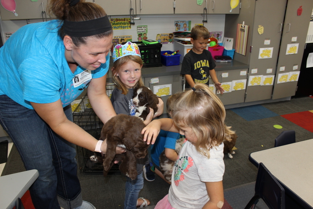 Puppies in PreSchool