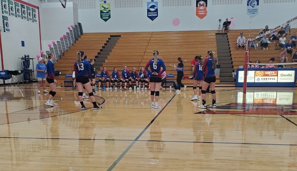 volleyball