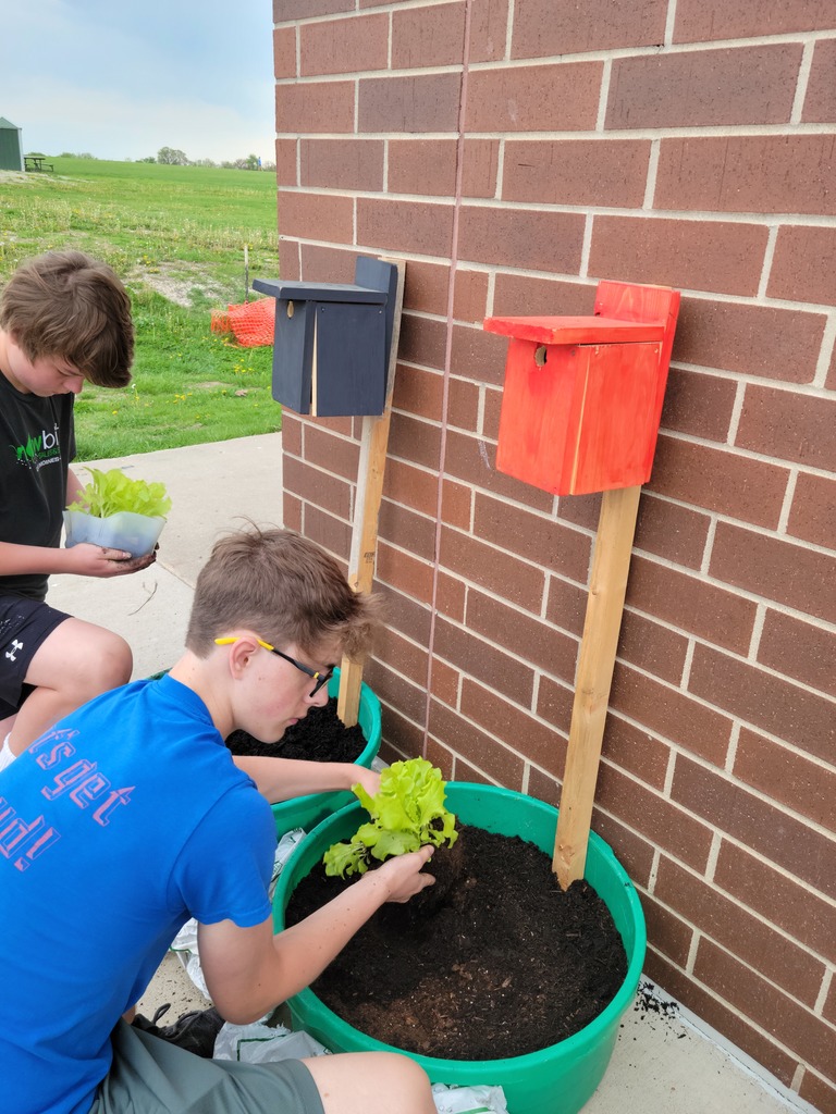 Students building mini habitats 